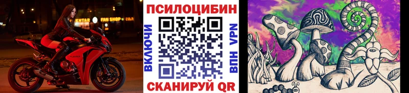 darknet наркотические препараты  Ижевск  Псилоцибиновые грибы Magic Shrooms  kraken зеркало 